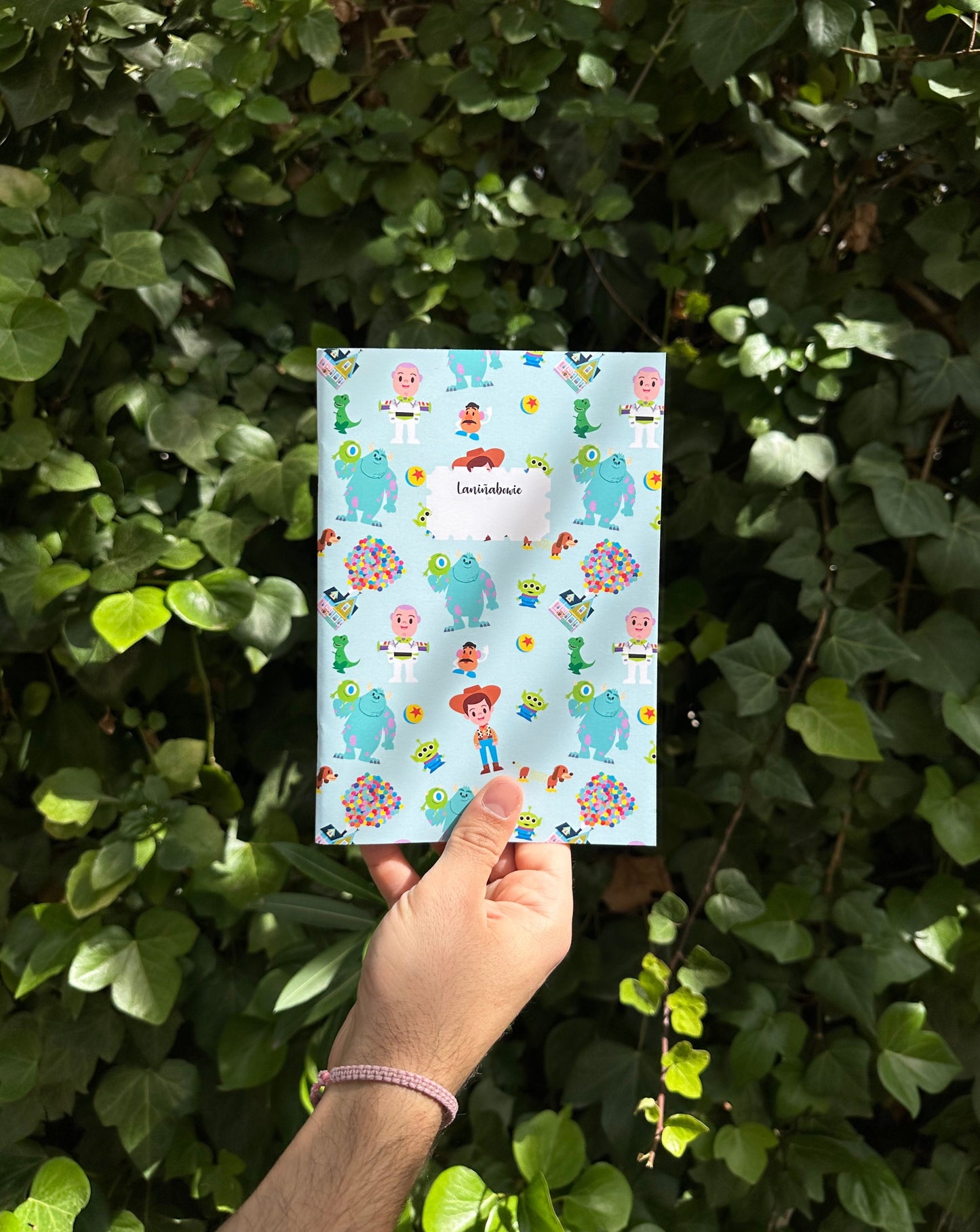 Libreta Woody, Sulley & Co