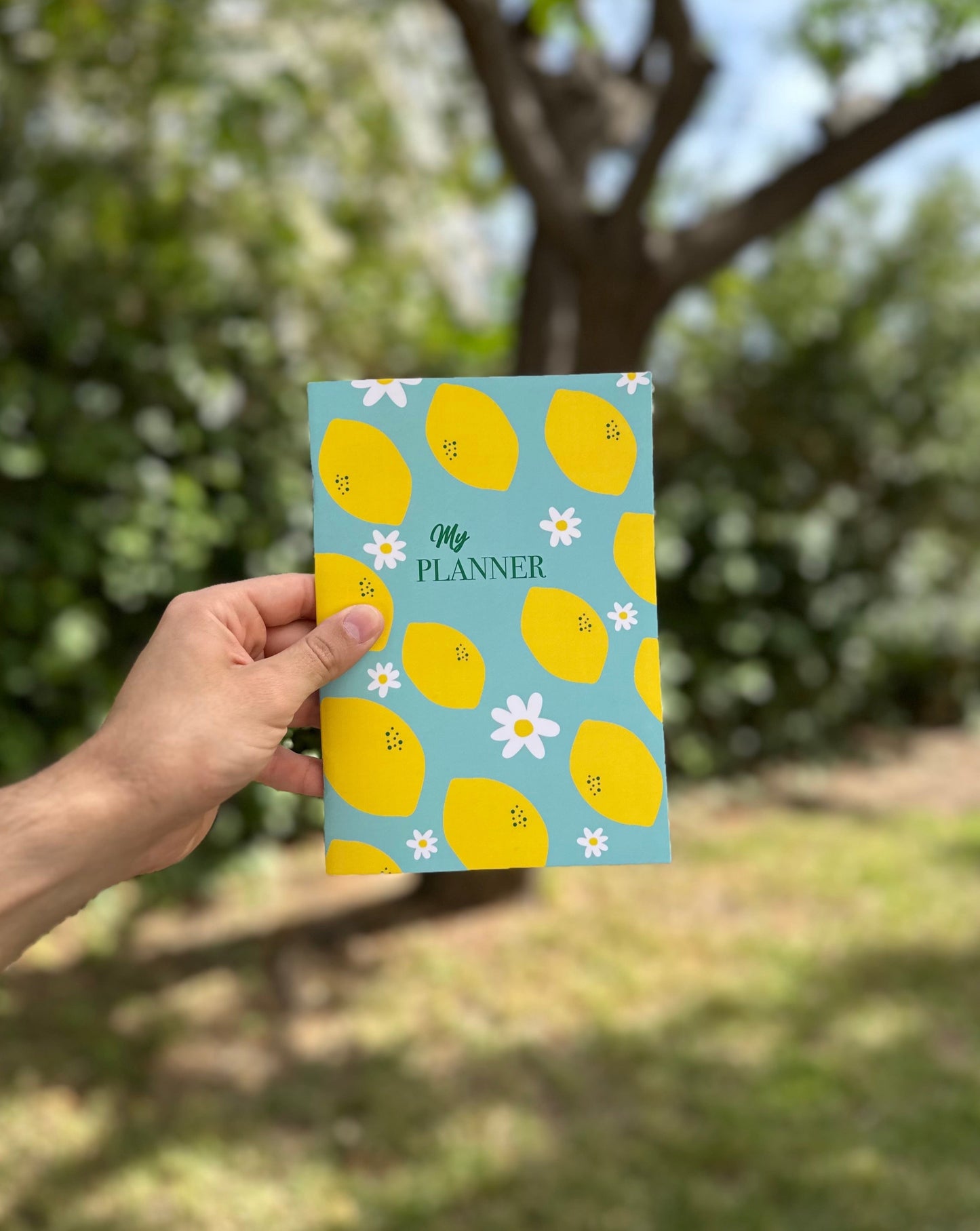 Libreta Limones