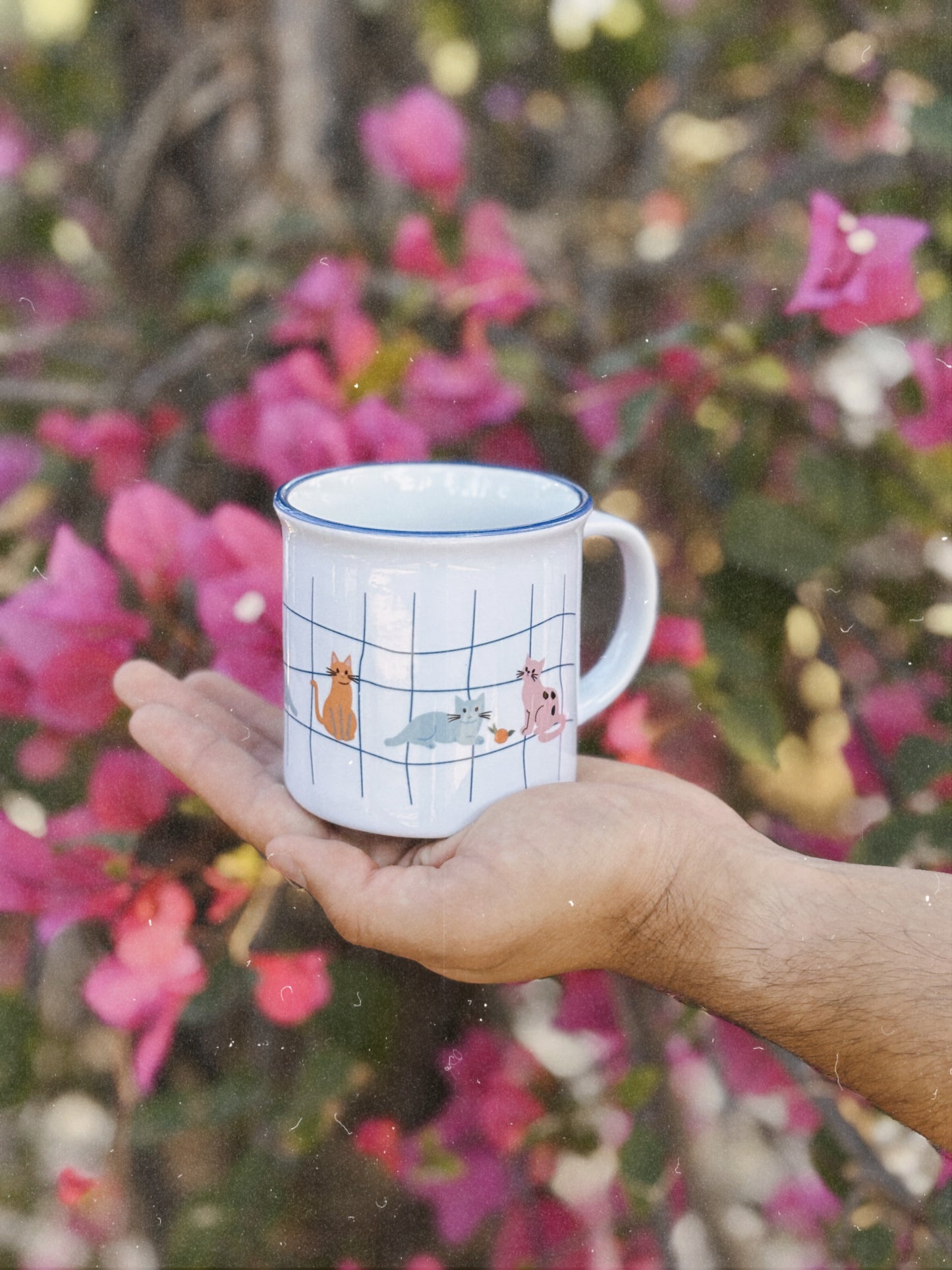 Taza Cozy cats
