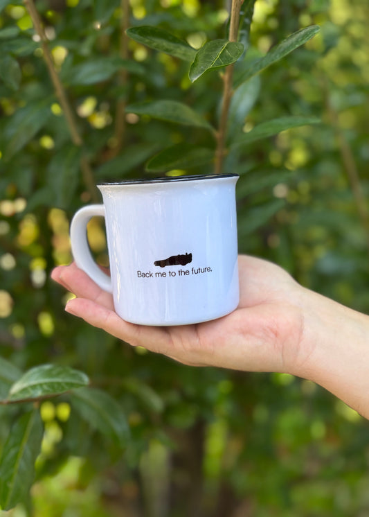 TazaRegresoalfuturoLaninabowie